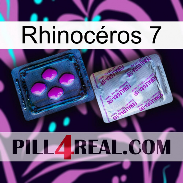 Rhinocéros 7 37.jpg